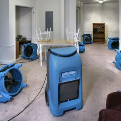 Mold Remediation